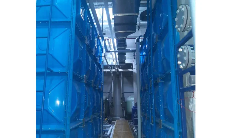 damoci-3